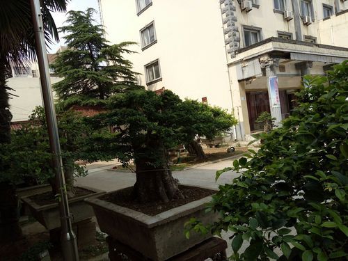 凤阳县今冬新增境外输入17例:凤阳最新