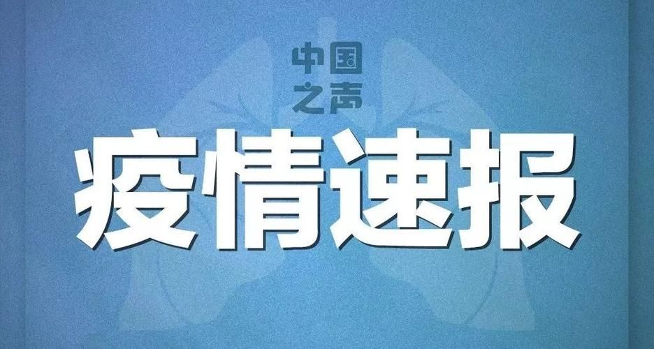全国新增确诊14例含本土12例:全国新增确诊病例数据今天