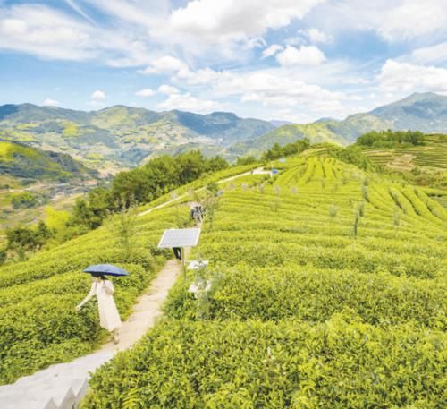 柘荣县足不出户标准最新公布_柘荣县是哪里