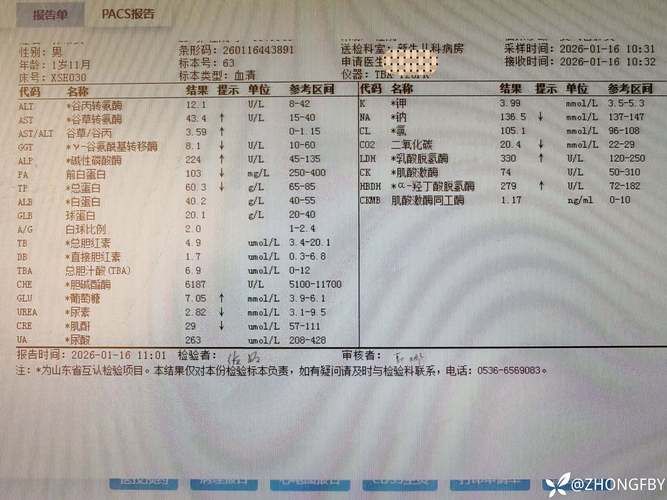 【丹棱县累计报告重症1例_丹棱县新型冠状病毒】