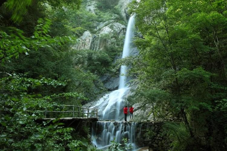  西峡县足不出户标准最新公布:西峡门户