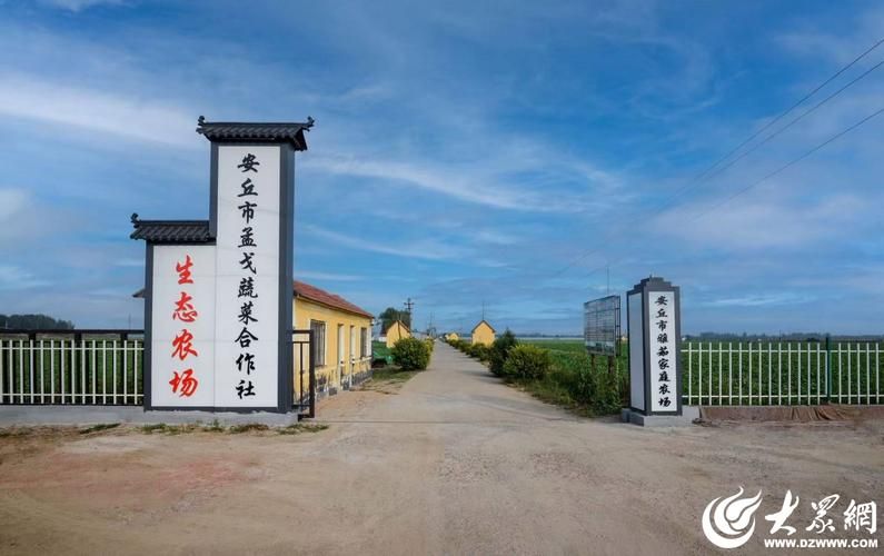 【山东潍坊安丘最新通告:所有人员静默_山东潍坊安丘新型冠状病毒】