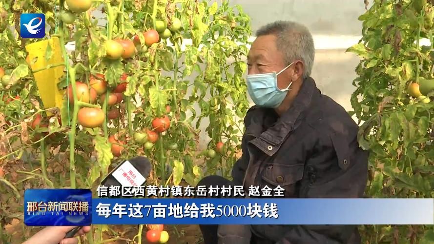 河北省邢台市信都区最新曲线图表:寻找同轨迹人员(邢台市信都区是疫区吗)