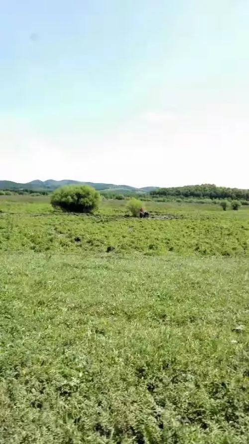  镶黄旗通报24例阳性感染者详情:镶黄旗概况