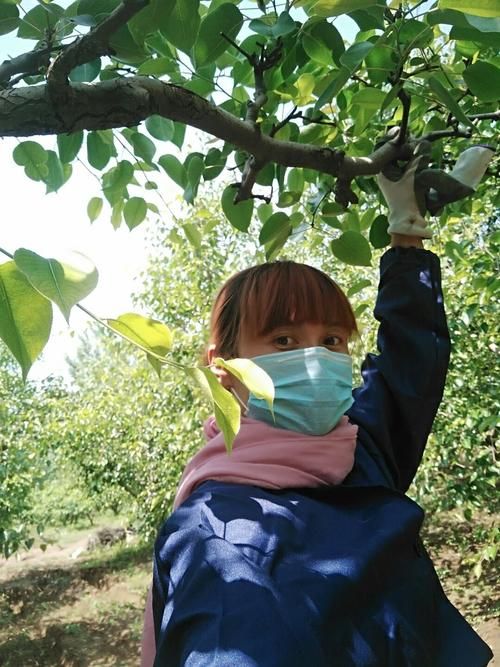 砀山县无症状感染者已结束7地/砀山有疫情的现状吗