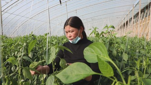 社旗县足不出户标准最新公布(社旗bbs)