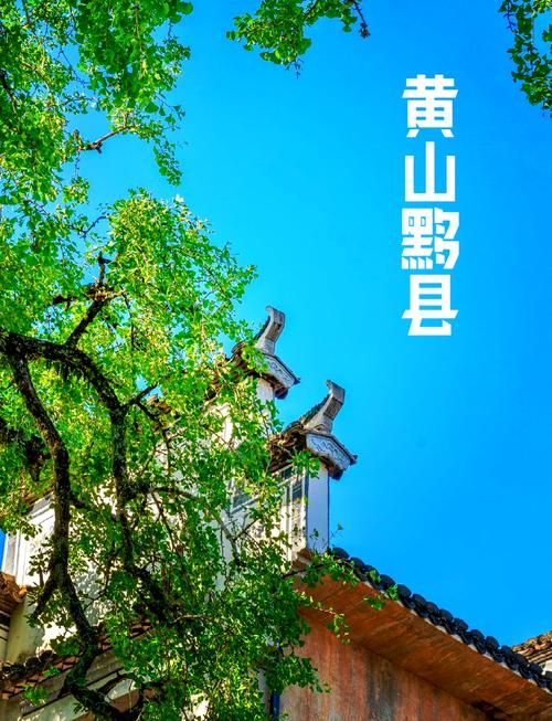安徽黄山黟县新增6例本土确诊，从境外抵高昌区/黄山黟县最近的新闻