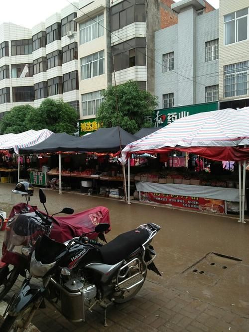 广西壮族自治区南宁市隆安县今冬本土确诊活动轨迹/南宁市隆安县今日新闻