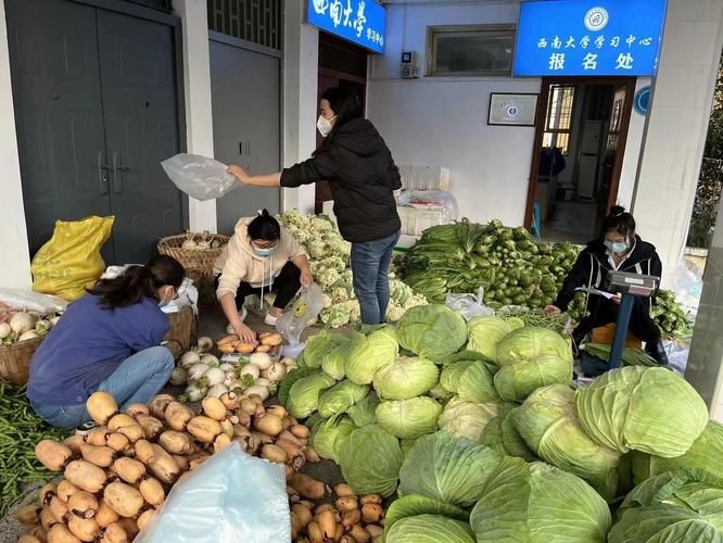 疫情防控中风险地区!重庆市巴南区/重庆市巴南区疫情防控政策