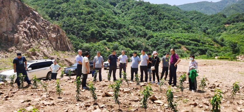  抚宁区静默区核酸阳性详情:抚宁发布