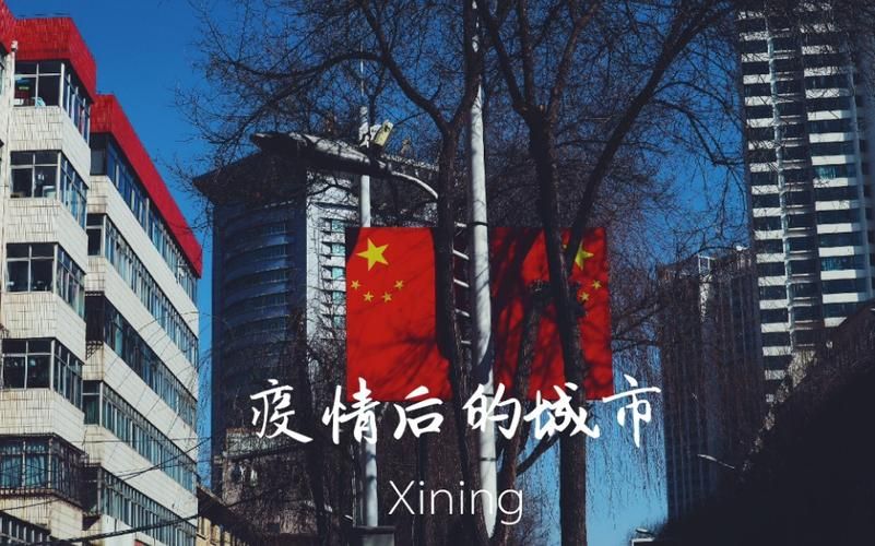 城西区最新疫情情况通报(城西区属于哪个市)