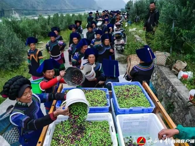 关于四川凉山彝族自治州喜德县新增核酸阳性17例，均在贵州省黔南布依族苗族自治州长顺县的信息