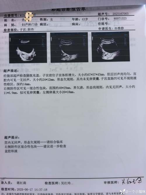  一张图看懂甘肃定西陇西县近3天病例通报:陇西确诊病例