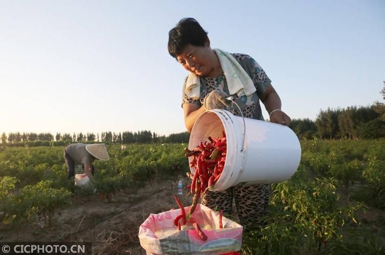 河北邢台平乡县疫情封城最新消息/邢台平乡封城了吗