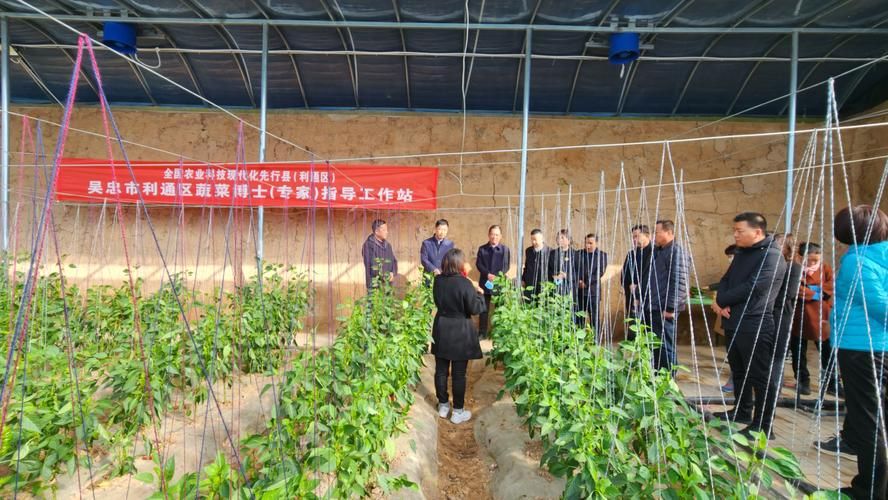 宁夏回族自治区吴忠市利通区5月11日新增破20/宁夏吴忠利通区穷吗