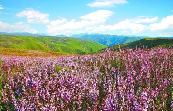 新疆维吾尔自治区塔城地区裕民县静默标准最新公布_新疆塔城裕民县介绍