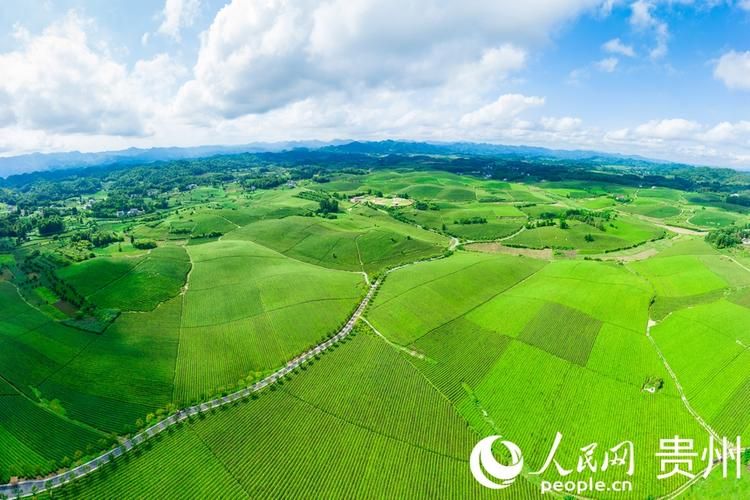 贵州遵义湄潭县最新通告:所有人员足不出户:贵州遵义湄潭有什么景点