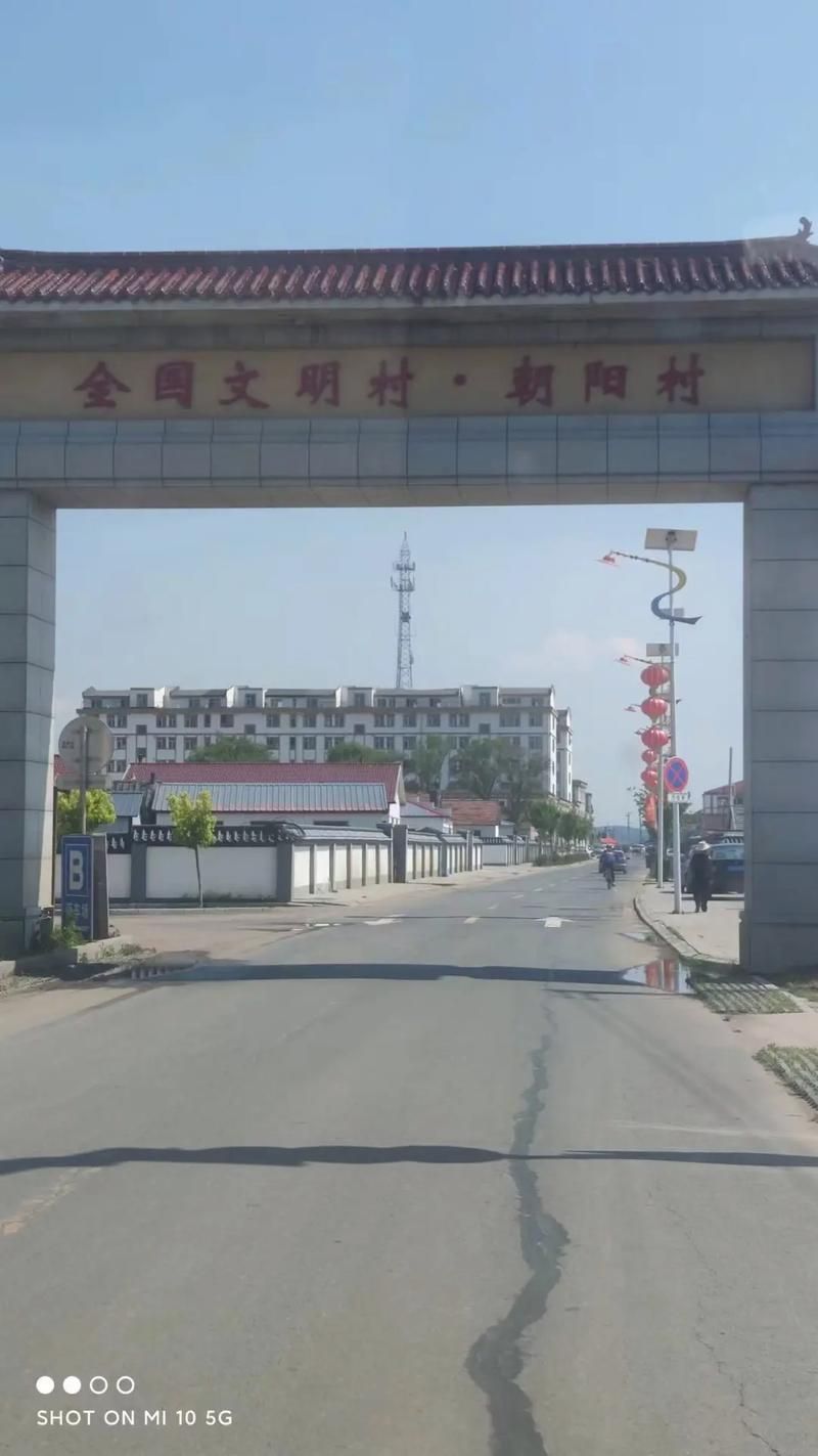吉林省辽源市东丰县近4天新增重症16例/辽源东丰几个镇几个村