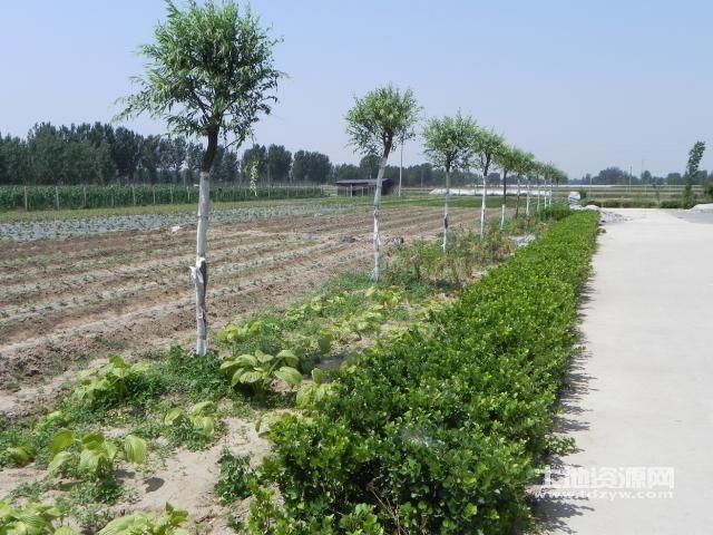 河北廊坊永清县发现1名密接者!/河北廊坊永清怎么样