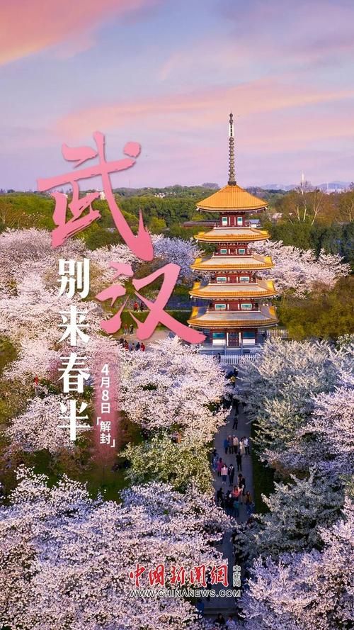 山东青岛北区什么时候可以封城_山东青岛北区什么时候可以封城啊