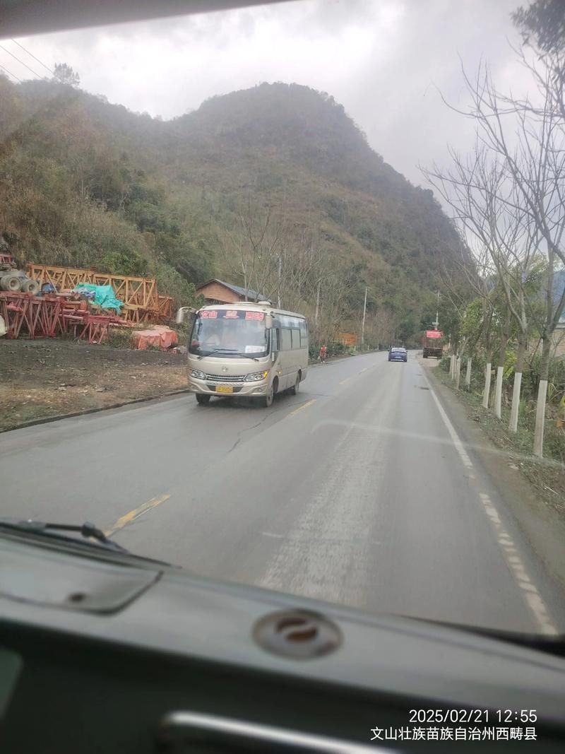 一张图看懂今日云南文山壮族苗族自治州西畴县疫情:云南文山壮族苗族自治州西畴县卫星图