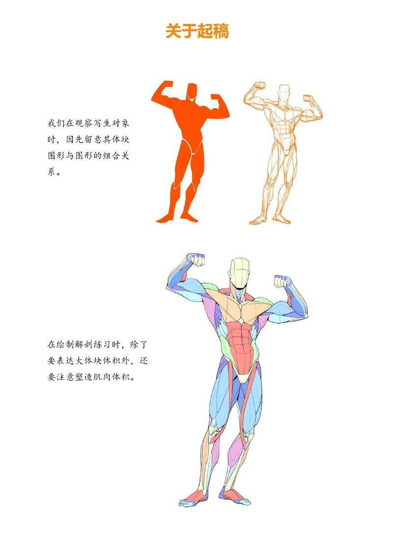 查找安徽宿州灵璧县最新疫情/人体结构几何体速写
