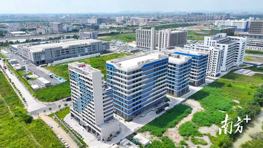 三角镇什么时候可以封城_三角镇大项目最新消息