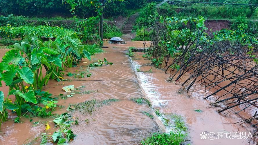 辽宁抚顺抚顺县地区有没有发现疫情_辽宁抚顺遭遇特大暴雨袭击