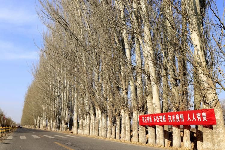 白杨新增疫情关注_白杨新闻综合频道