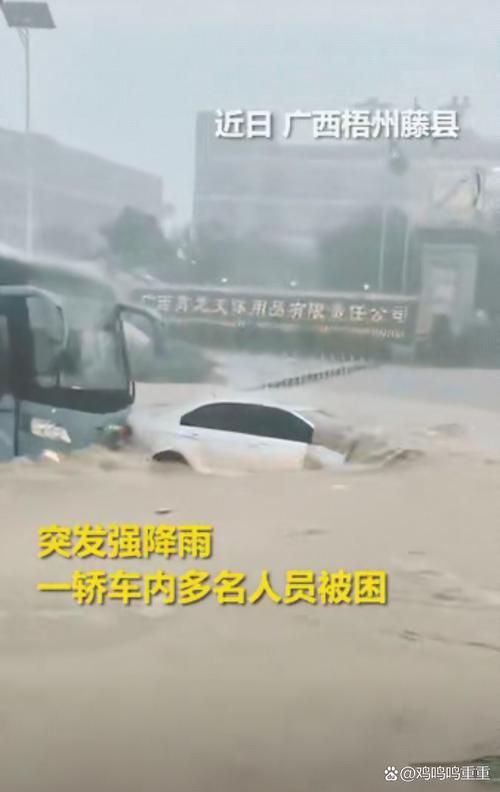 广西壮族自治区梧州藤县今冬重症数据播报_广西梧州藤县今天天气