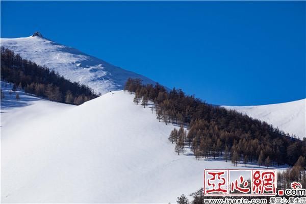 【预计近4天和布克赛尔蒙古自治县二次疫情回落_和布克赛尔蒙古自治县经纬度】