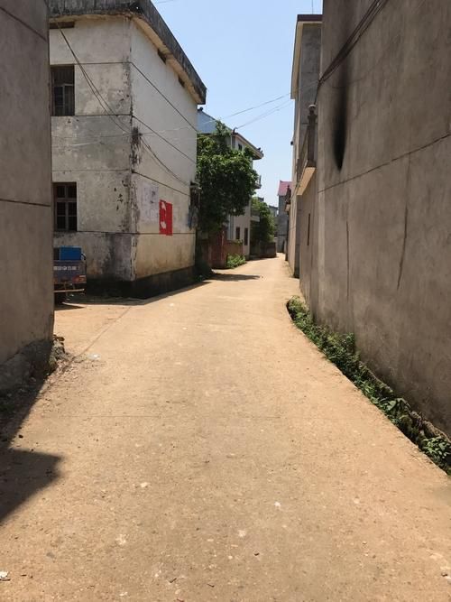 江西省上饶市余干县近期新增25例涉2省输入病例:江西省上饶市余干县2026余干三小官网