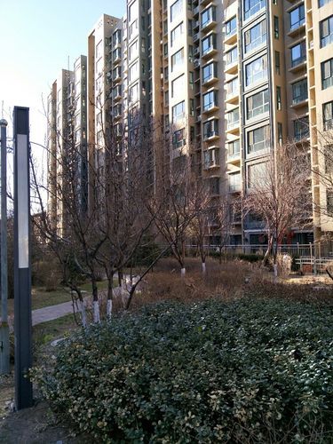  内蒙古自治区包头市石拐区最新疫情进展信息:内蒙古包头市石拐区天气预报
