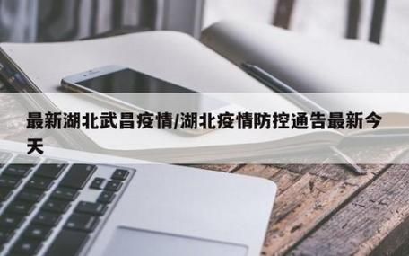 【5地疫情存反弹风险,湖北三地发布疫情最新消息】