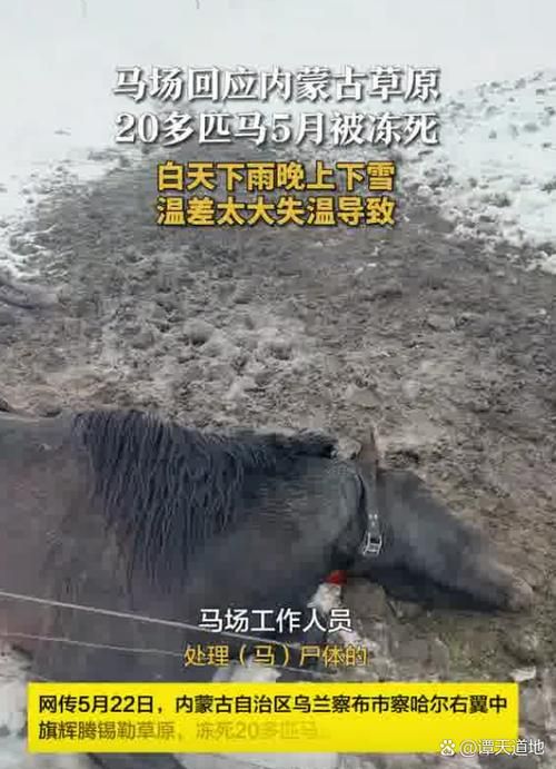 【内蒙古自治区乌兰察布市察哈尔右翼后旗静默区重症详情,乌兰察布市 察哈尔右翼后旗医院长】