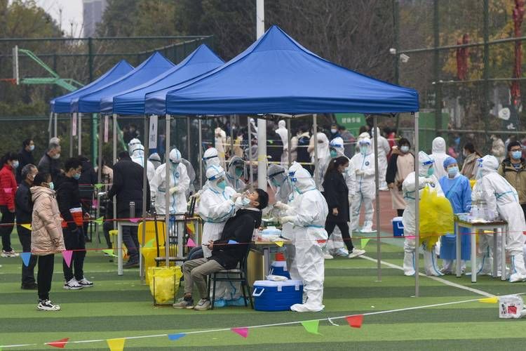 龙湾区累计报告阳性感染者16例/龙湾区15天详细预报
