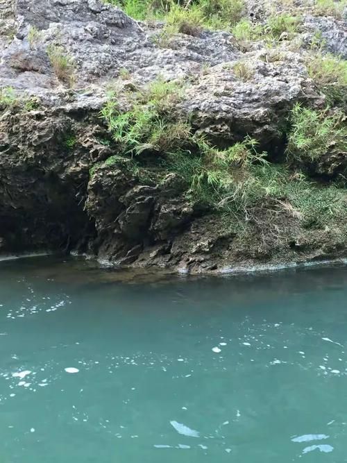 思茅区近3天境外输入疫情趋势(思茅区未来15天天气趋势)